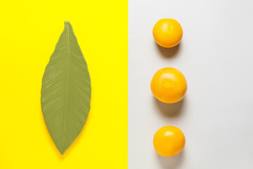 Composition with ripe grapefruits on color background