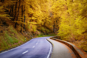 Fototapeta premium Autumn country road in Luxembourg