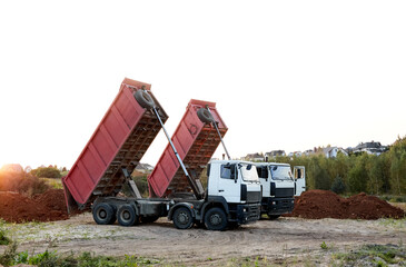 Two red dump trucks simultaneously lifted the bodies to unload the sand. Cargo transportation services. Large multi-ton truck. Unloading cargo. Construction site and machinery. Banner. Common view