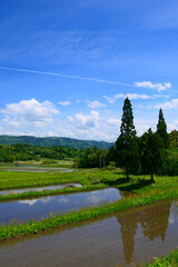 初夏の里山。空を映す棚田。奥州、岩手、日本。5月下旬。