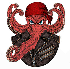 Octopus vector portrait. Animal wearing pirate headdress. Sailor portrait.