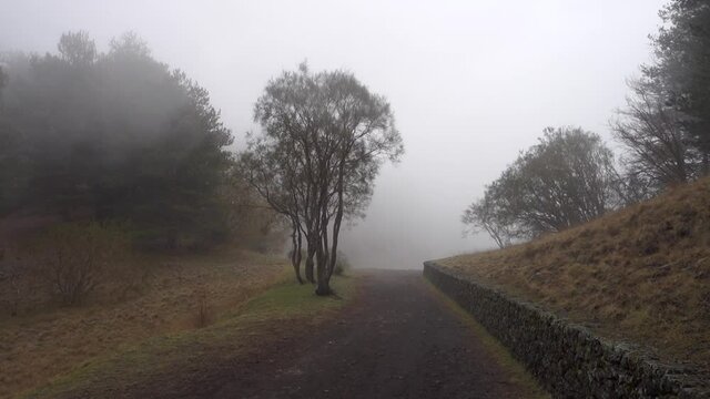 nature of Sicily mountains wooded path in the fog of Etna Park