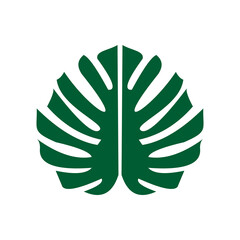 Monstera leaf icon vector design template © ZAHDA_08