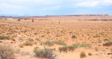 Fototapeta na wymiar Scenic desert in Utah, USA