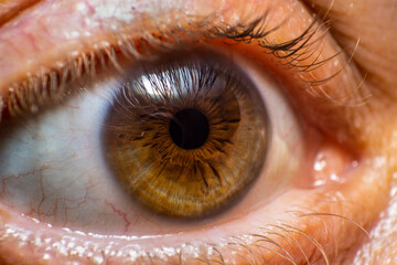 Macrofotografia de un ojo humano