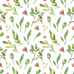 Watercolor floral seamless pattern with botanical elements of green poppy bolls, leaves, branches with red berries.
