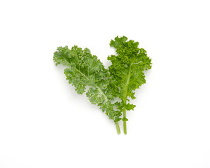 Kale leaf salad vegetable isolated on white background. Creative layout made of kale closeup. top...