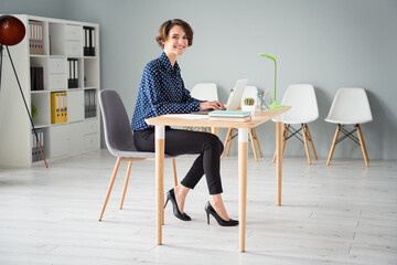 Profile side view portrait of attractive cheerful girl lady sitting in chair typing creating web...