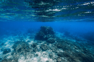 Tropical ocean in underwater. Deep ocean background