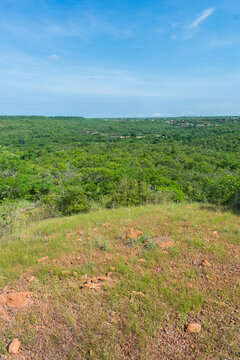 Sertao Landscape In Oeiras, Piaui (Northeast Brazil)