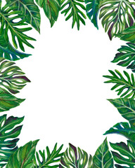Fototapeta na wymiar Watercolor illustration Botanical tropical monstera fern palm houseplants frame invitation label greetings
