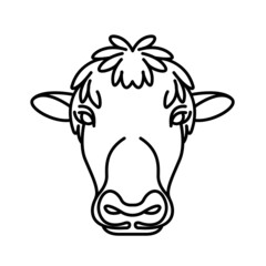 black and white head of bull
