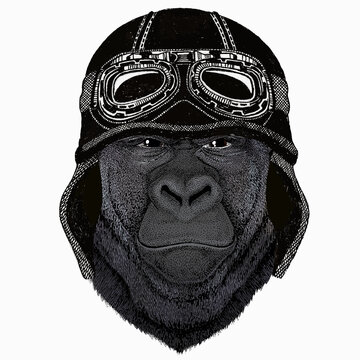 Gorilla head. Vector illustration. Wild animal portrait. Vintage motorcycle biker helmet.