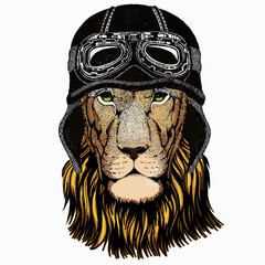 Lion. Portrait of wild lion. Safari animal head. Vintage motorcycle biker helmet.