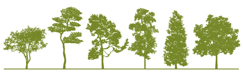 Detailed tree silhouettes. Set of green trees in   silhouettes isolated on white background. Collection of different shapes forest trees. Elements are  moveable for your design. Vector EPS10