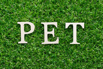 Wood alphabet in word PET (animal or abbreviation of polyethylene terephthalate) on artificial...
