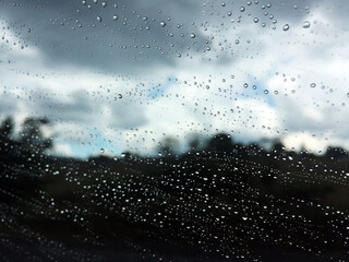 raindrops on window