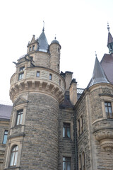 PAŁAC - JAK Z BAJKI - CASEL MOSZNA © jaceka