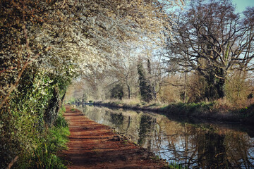 Towpath along the River Wey in Godalming, Surrey, UK