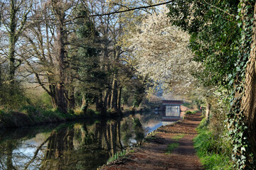 Towpath along the River Wey in Godalming, Surrey, UK