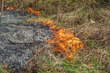 Dry grass burns with a bright flame after arson