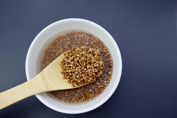 Buckwheat groats in a white bowl with water and a wooden spoon on a gray background. Buckwheat in water. 