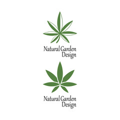 Leaf icon Vector Illustration design Logo template