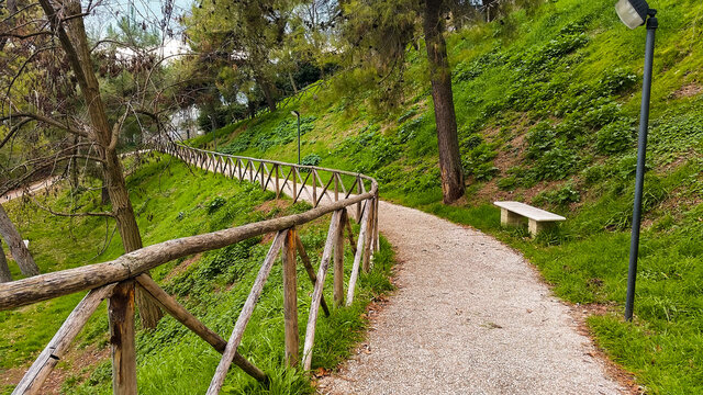 Pathway leading through the green Offida park
