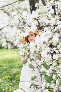 Red-haired girl walks in a spring blooming apple orchard