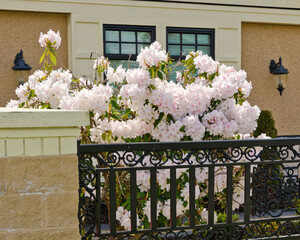 Fragment of a nice house with gorgeous outdoor landscape in Vancouver, Canada.