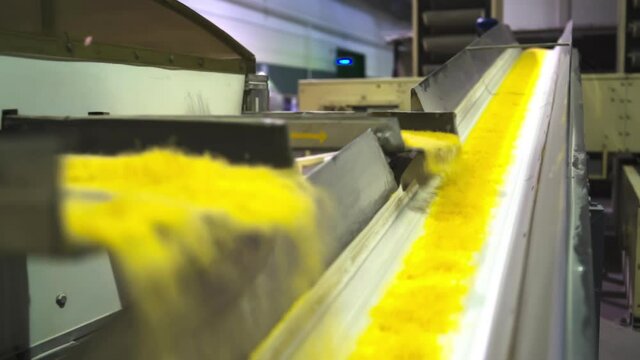 Macaroni falling down in a la carte machine. Raw Spaghetti are Moving on a Conveyor in a Pasta Factory. 