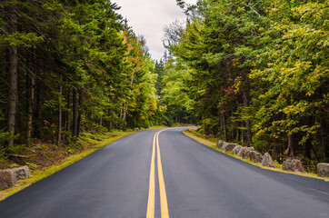 Fototapeta premium Straße durch den Acadia Nationalpark, Maine, Neuengland, USA