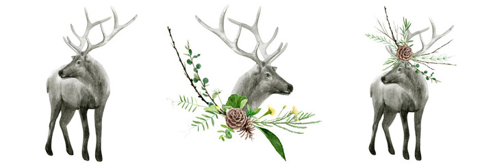 Watercolor realistic deer forest animals set isolated on a white background illustration.