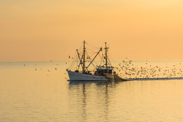 Fischkutter mit Schleppnetzen, begleitet von einem Schwarm Seemöwen, Büsum, Nordsee,...