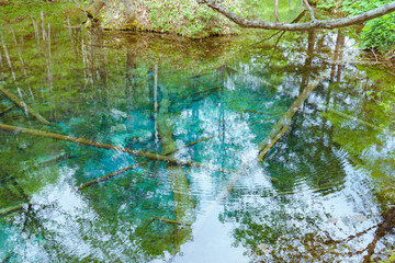 神の子池　北海道道東