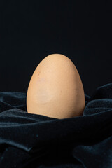 single imperfect egg on velvet