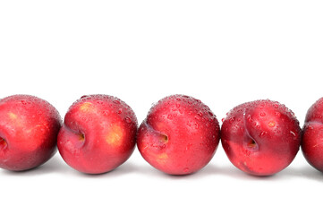 Red plums are laid out in one row across the image width. Water droplets glisten on the peel