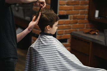 Side view of cute little boy getting haircut by hairdresser at the barbershop