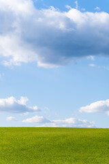 Green field and blue sky, concept of nature, outdoor relax.
