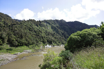 Whanganui  River / Whanganui  River /