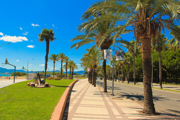 trees on the beach from cambrils