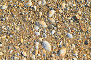 Sand beach. Sea shore. Sunny day.