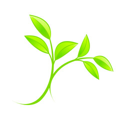 green tree branch with leaves vector drawing