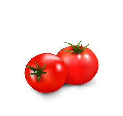 Two tomatoes on white background, vector