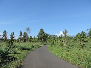 road in the countryside