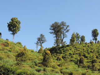 hill view photo with blue sky background