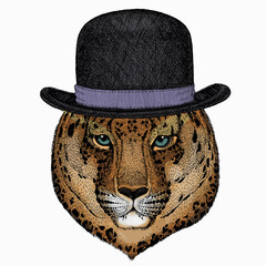 Leopard head. Wild cat. Animal for african safari logo emblem. Bowler hat.