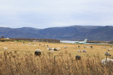 Fototapeta na wymiar Bombardier Dash 8-103B - 409, operated by Widerøe;brønnøysund,Helgeland,Nordland county,Norway,scandinavia,Europe