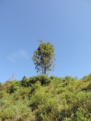 hill view photo with blue sky background