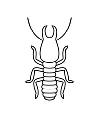 Termite outline. Isolated termite on white background